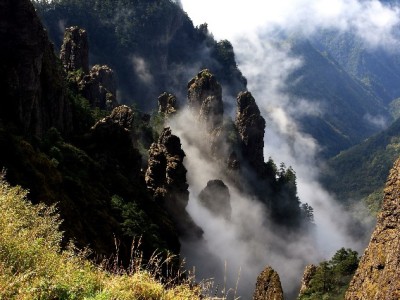 羊小咩提现攻略：官方渠道+安出掌柜快速通道全解析