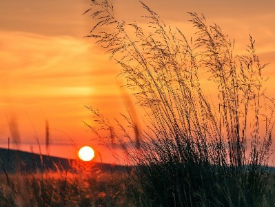 无线收款不卡壳！富信掌柜帮小商户接住花呗支付红利