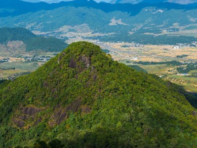 京东商家白条免息开通全流程：出财小神助力高效提转化