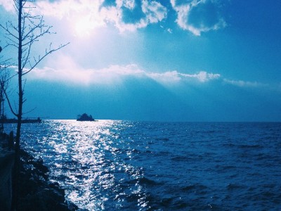 羊小咩提现实测：搭“出财小神”快车，8分钟到账0手续费