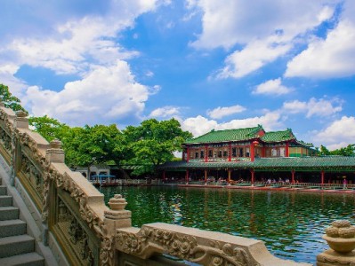 羊小咩中享花卡能提现吗？出财小神揭秘规则与操作