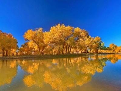 京东白条取现技巧全解析：出财小神助你高效用款避坑