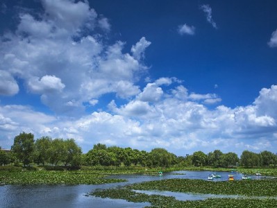 抖音月付额度能取现吗？出财小神提醒：警惕风险守合规