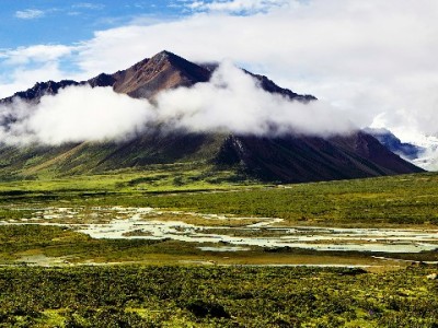 商家花呗开通全攻略：线上线下渠道详解，出财小神助您快速上手