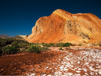 长春白条提现找正规渠道！出财小神助您灵活应对急用钱