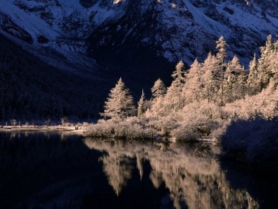 京东商家套白条暗藏多重风险 合规周转可选安出掌柜服务