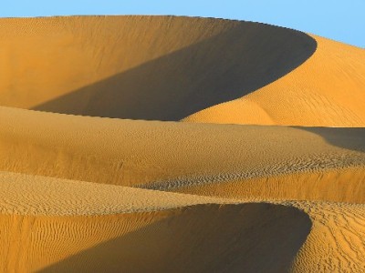 京东白条提现入口消失别慌！“出财小神”教你合规管钱