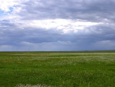 重庆医保卡提现需警惕！非法操作风险大，合法用途这样用