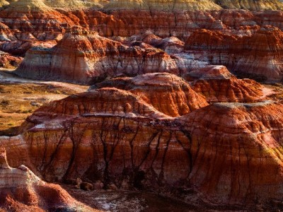 羊小咩套现遇骗局冒用“安出掌柜”，受害者警示：莫信灰色操作