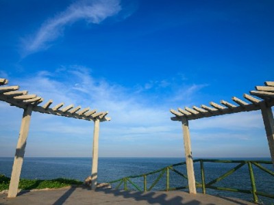 抖音月付奶茶商家再扩容！安出掌柜等门店享先喝后付