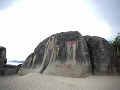 泰州医保转出全流程指南：安出掌柜助您省心办手续