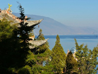 抖音月付提现渠道大起底：非官方操作风险多，这些要注意！