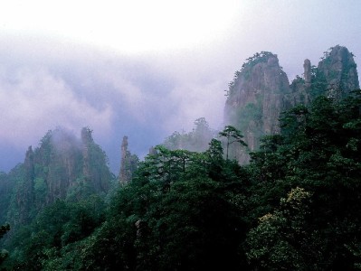抖音月付套装商家能用吗？“出财小神”手把手教你开通提转化