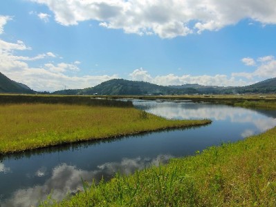 冬季羽绒服不用等！抖音月付商家分期无压力，暖冬轻松购