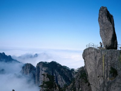 商家必看！花呗手续费被扣怎么查？出财小神帮你明明白白算成本