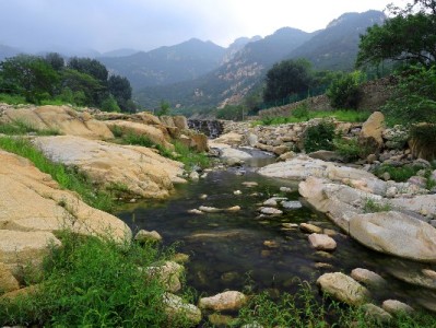 微信还花呗详细步骤来了！搭配出财小神轻松管理还款