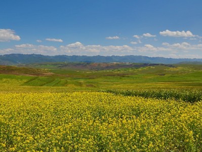 充话费套花呗藏风险！合规周转可选这类正规平台