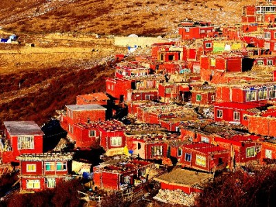 白条变现商品全解析：高流通品类背后的风险与理性提醒