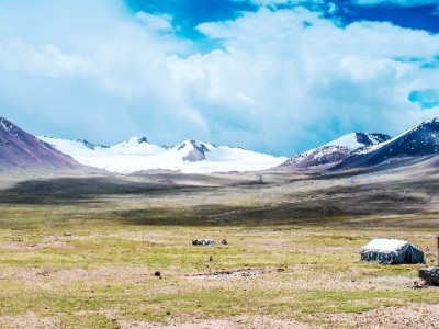 商家花呗突然不能用？常见原因+解决攻略（安出掌柜助力排查）