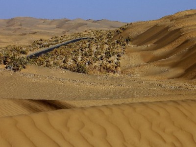 京东白条提现攻略：官方渠道+安全辅助，“安出掌柜”帮你避坑