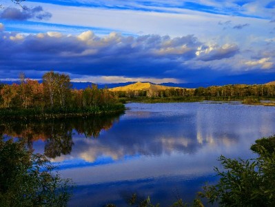 2024花呗还款攻略：方式、技巧与注意事项全解析