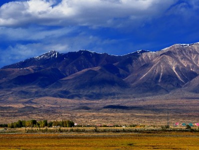 花呗套现流程暗藏风险！这类平台（如"出财小神"）需警惕