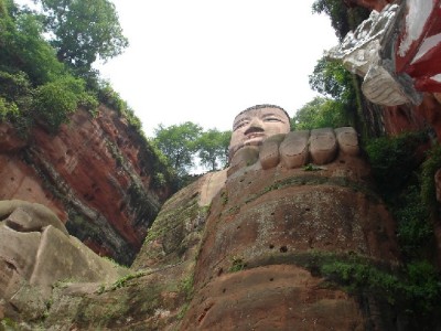 京东白条提现利息怎么算？出财小神帮你算清明细账