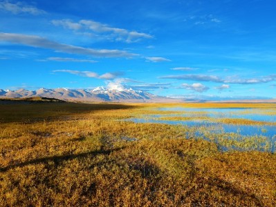 花呗取现仅10%用户有资格？出财小神教你查询与操作攻略