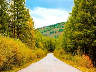 海口白条提现藏风险！合规平台“出财小神”教你安全周转