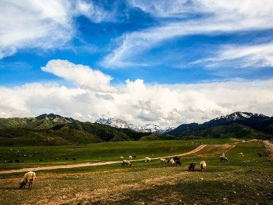 抖音月付额度提现全流程解析：商家操作步骤与风险避坑指南