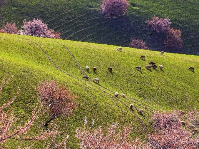 套花呗贷款软件暗藏陷阱：违规套现或致资金、信用双损失
