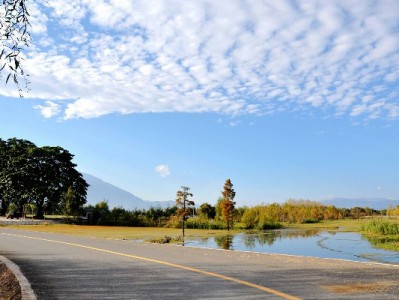 花呗150元收款支持成小商家“新宠”：单笔零手续费 生意更顺畅