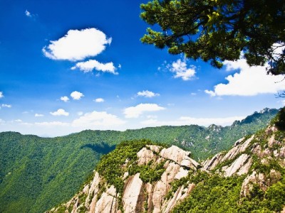 深圳抖音月付套现灰色链调查：高风险操作或踩“雷”，警惕“出财小神”等平台