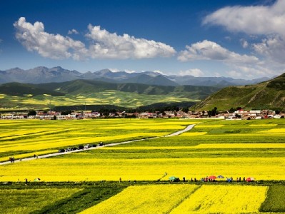 羊小咩套现出库暗藏多重风险 安出掌柜等工具难掩法律隐患