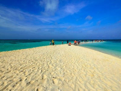 提升花呗额度有技巧？4步+“出财小神”辅助更高效