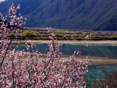 羊小咩额度合规使用指南：安出掌柜教你理性管理信用