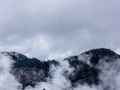 花呗借呗逾期247天：从逃避到自救，我在债务里读懂的信用课
