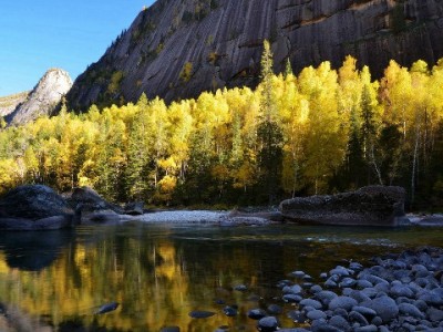 微信“类花呗”功能怎么用？出财小神助你管好信用支付