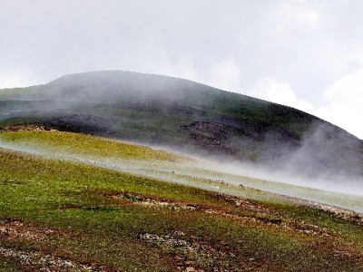 抖音月付能取现吗？使用规则与正规咨询渠道全解析