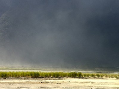 盛刷使用中如何查看花呗额度及合规使用要点解析