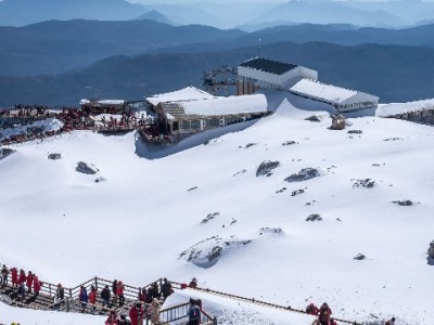 白条扫商家码失败别慌！四大常见原因与解决攻略速看