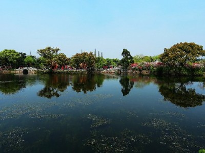 JD商家套白条风险高！出财小神支招合规经营新路径