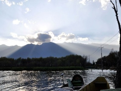 夏日无痛吃冰新姿势！冰激凌花呗套餐解锁甜食自由