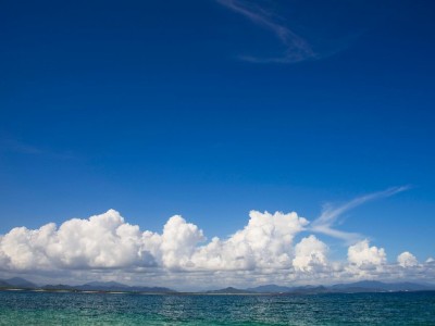 商家码支持花呗：抓住年轻客群的“支付利器”