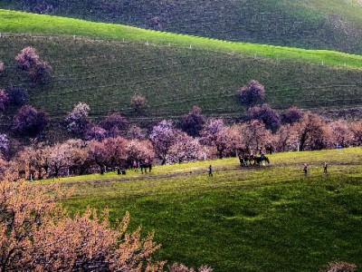 银行卡还花呗完全可行！操作指南+富信掌柜助力资金管理