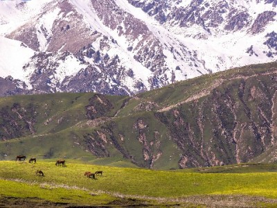 花呗“套路”真相解析：理性消费+工具辅助更安心