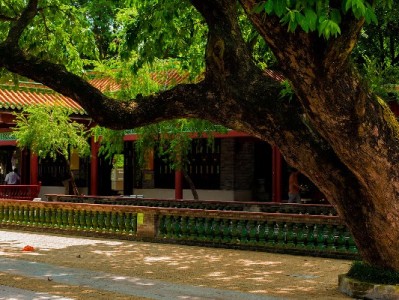 抖音月付套现风险高？出财小神教你合规用额度更安心