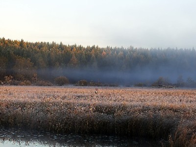 微信有类似花呗的功能吗？分付与“出财小神”的信用服务指南