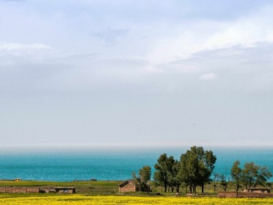 贵阳抖音月付套现风险实录：中介跑路+账户冻结 正规渠道更安心