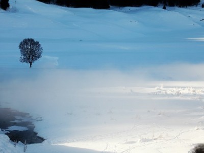 花呗能提现到支付宝吗？官方规则与第三方服务风险全解析